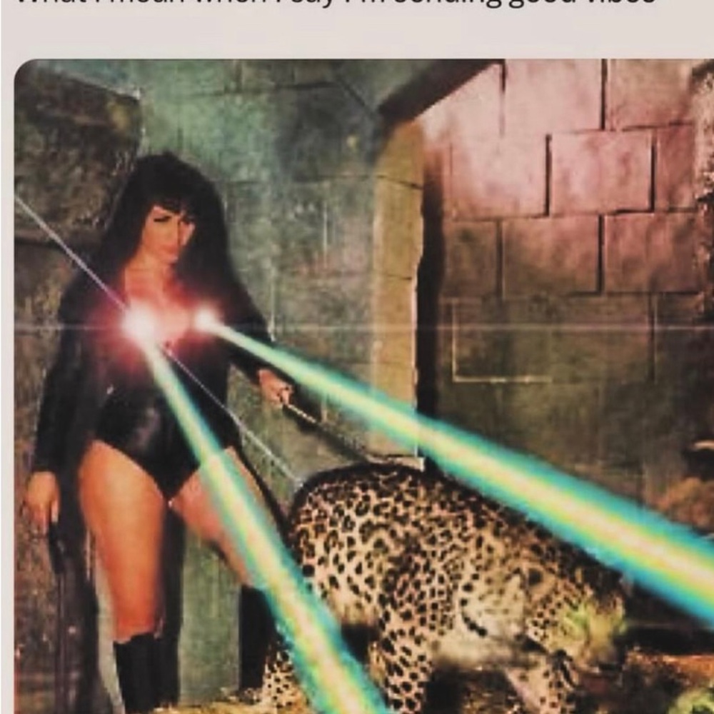 Meet your Posher, Kara